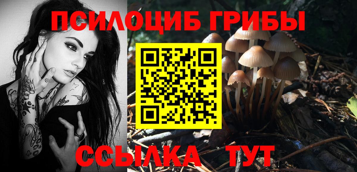 Кизилюрт  Галлюциногенные грибы прущие грибы  цена   Вход с VPN 